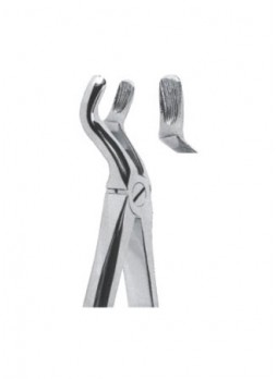 Extracting Forceps